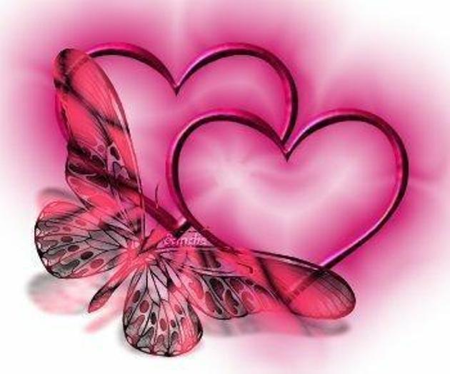 Srdce_272258890_25.jpg
